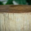 JATI TABLE - Image 3