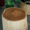 JATI TABLE - Image 2
